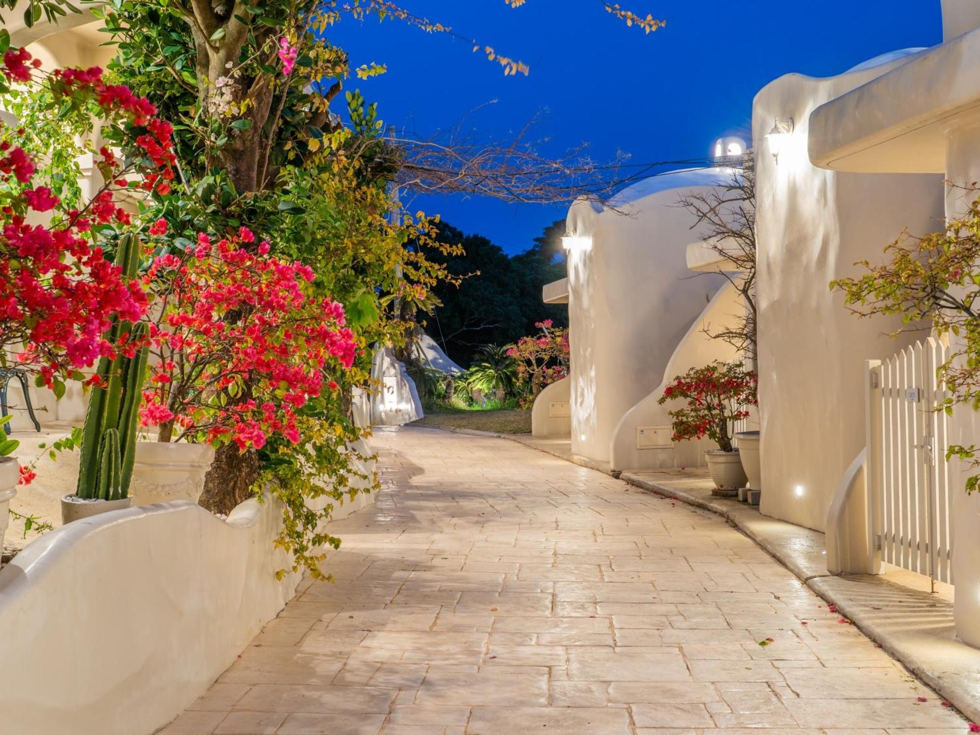 Yuki Suite Kourijima Nakijin Luaran gambar